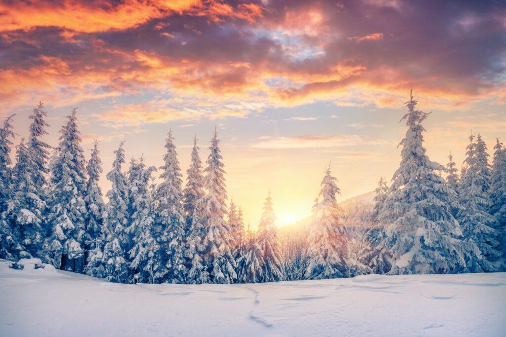 The Winter Season – a true miracle!